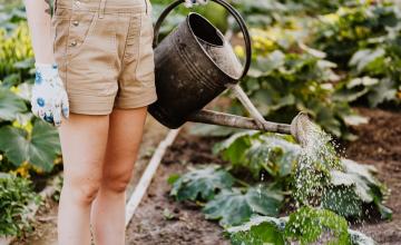 5 astuces pour aménager votre jardin potager, dès la construction de votre maison neuve
